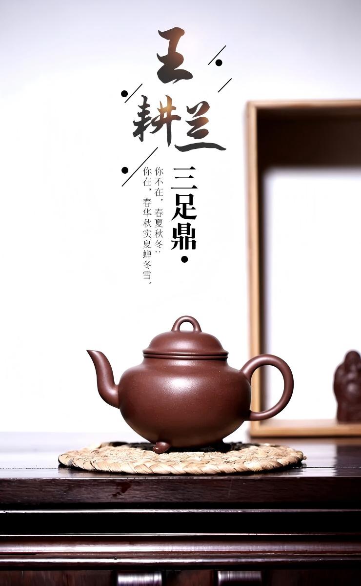 王耕蘭