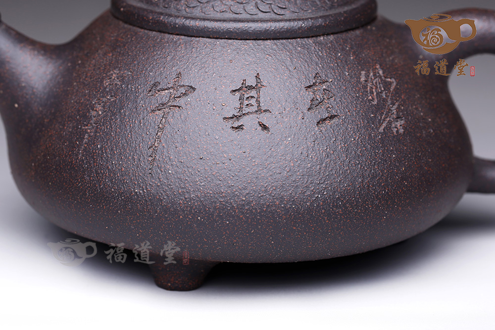 魚樂