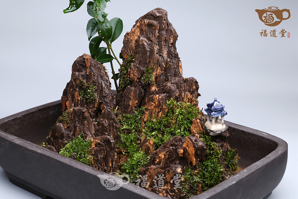 假山
