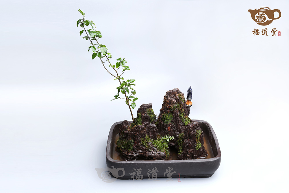 假山