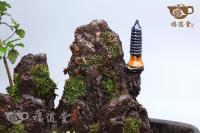 假山