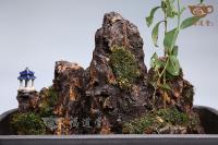 假山