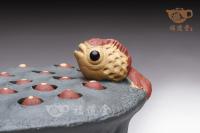 雙色金魚蓮子