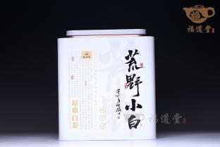 荒野小白