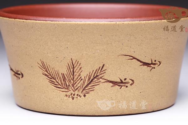 鱼乐杯（三）