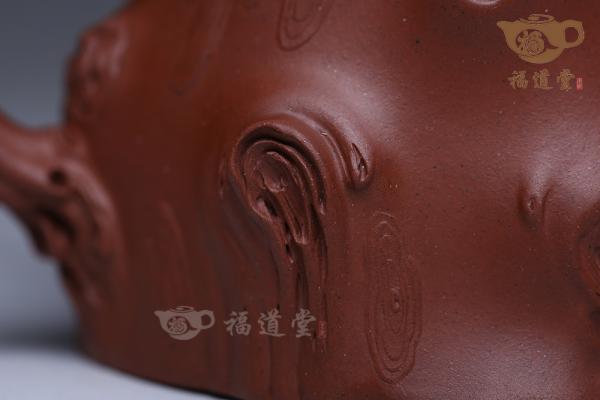 不老松