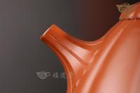 筋紋乳瓢