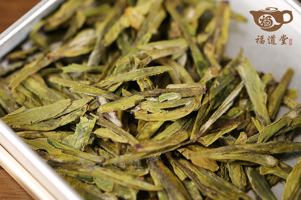 牛背脊龍井