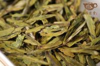 牛背脊龍井