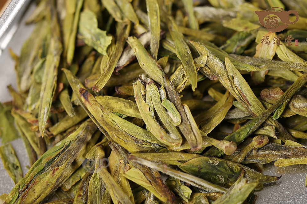 牛背脊龍井
