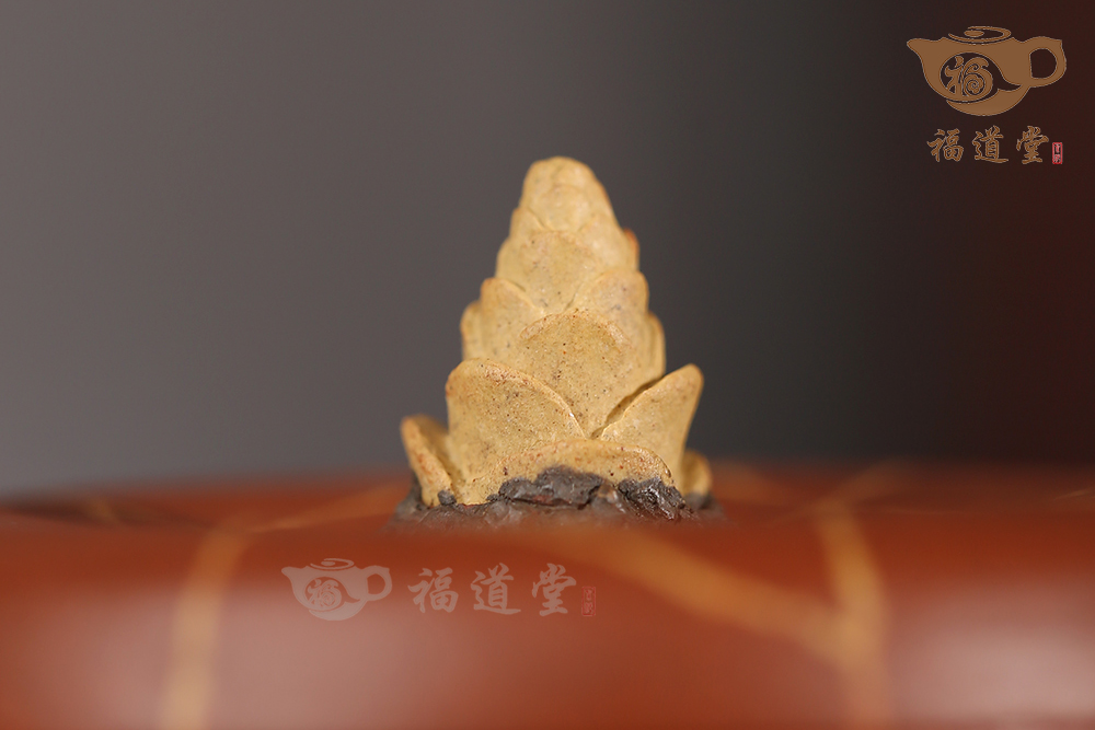 醒春 醒春
