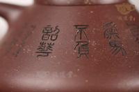 星云智瓢