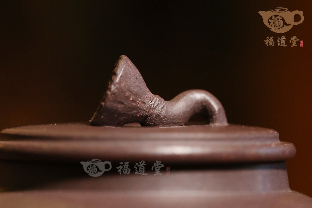 冷浸芙蕖 冷浸芙蕖