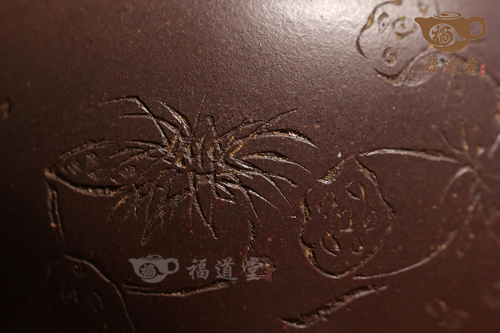 冷浸芙蕖 冷浸芙蕖