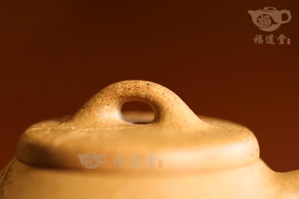 智瓢