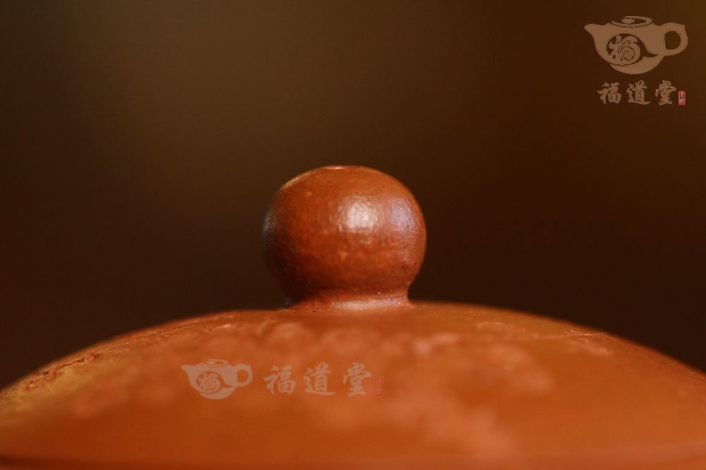 西施(墨梅) 西施(墨梅)