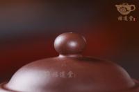 景舟掇球