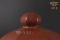 采菱