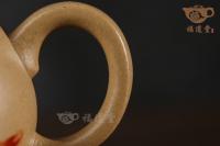 不染