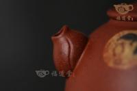 揽月