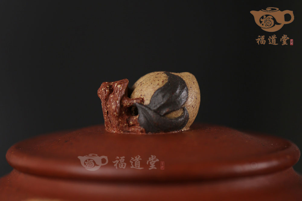 揽月