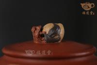揽月