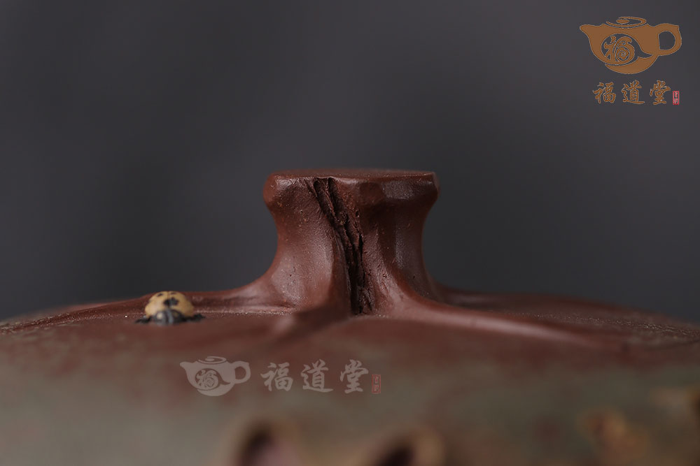 瓜情夢(mèng)雨