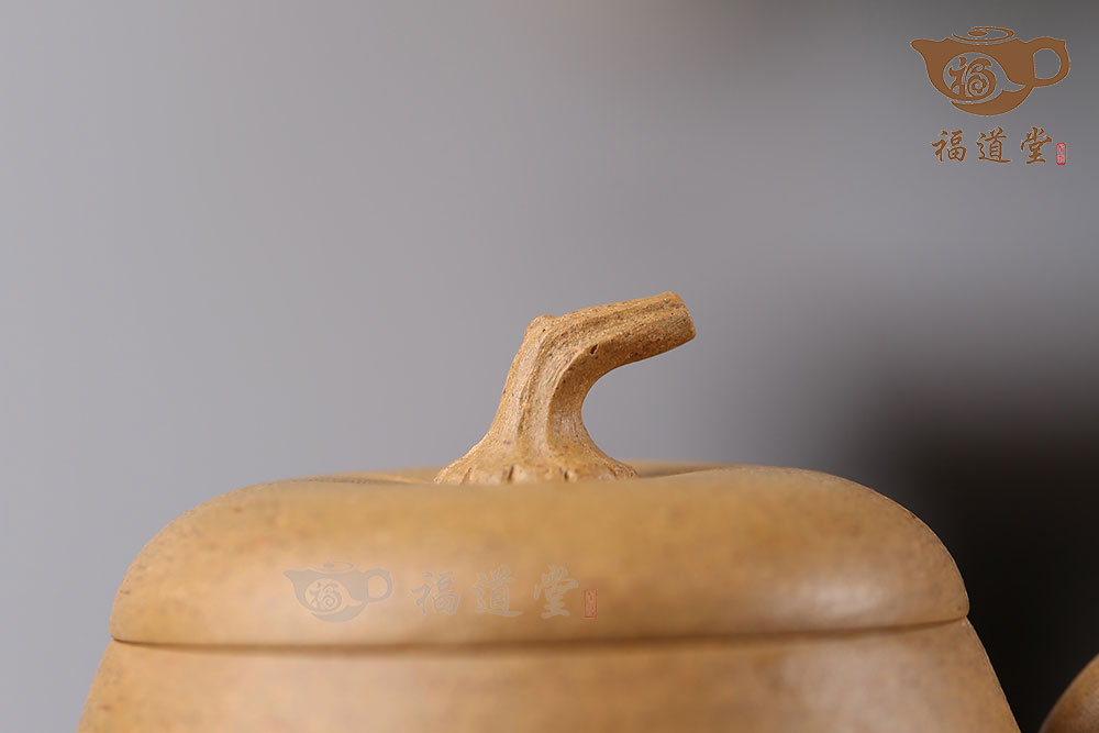 木瓜 木瓜