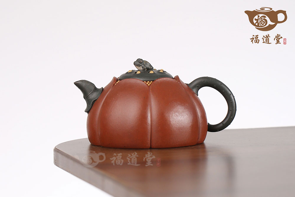 青蛙蓮子 青蛙蓮子