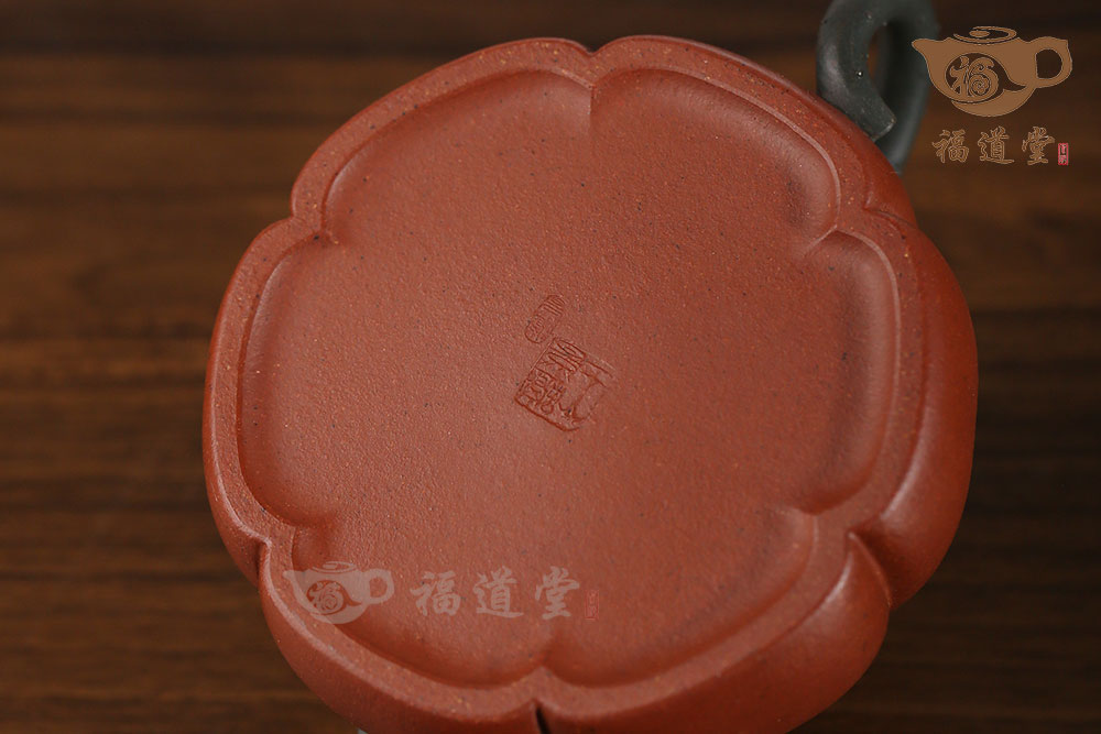 青蛙蓮子