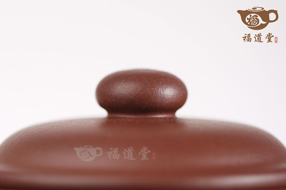 掇只 掇只