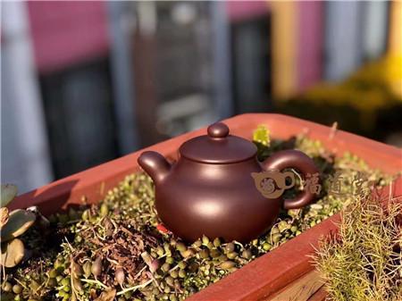 紫茄泥紫砂作品大赏