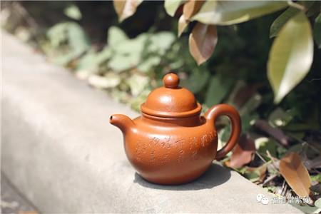 沈丹独家鱼籽料紫砂壶作品