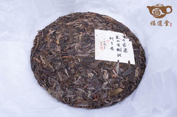 千家寨荒山古树
