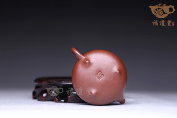 小石瓢