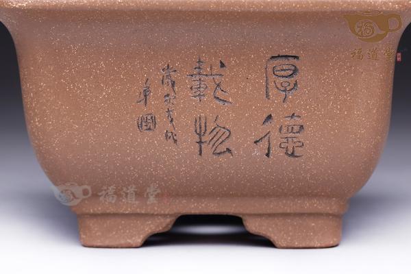花盆