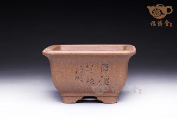 花盆