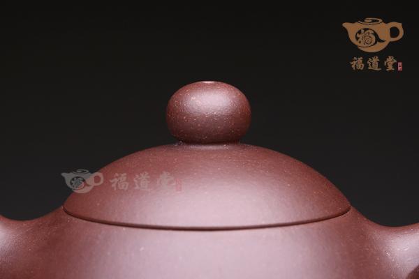 龙蛋