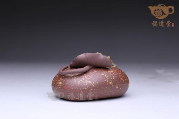 蛙趣