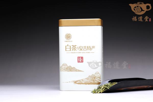 安吉白茶