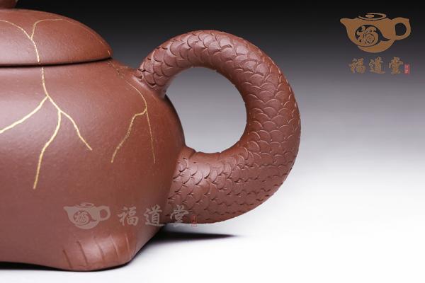 金龙龟