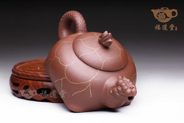 金龙龟
