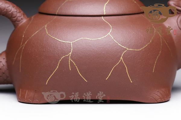 金龙龟