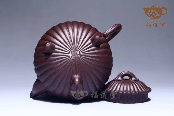 三丁合菊