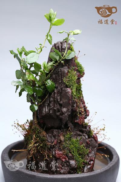 假山