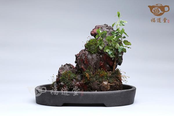 假山