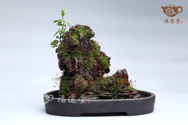 假山