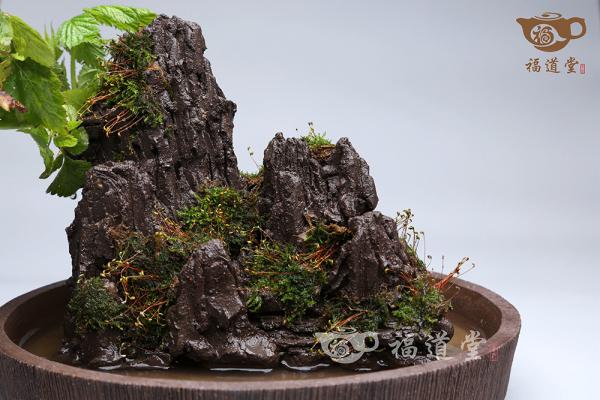 假山