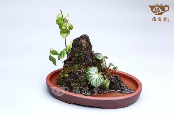 假山