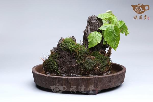 假山